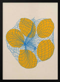Five Lemons In a Net Bag