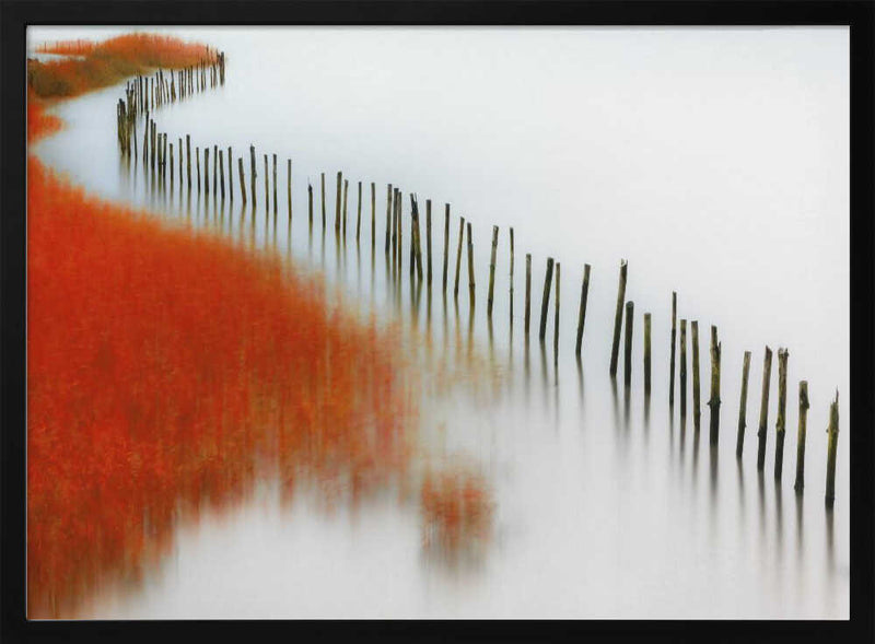 Red Reeds and Calm Water