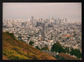 San Francisco Skyline Vista