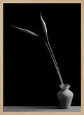 Elegant Botanical Still Life