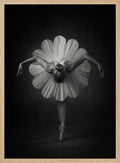 Elegant Ballet Bloom