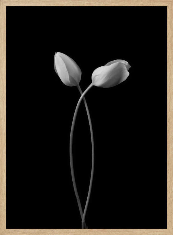 Elegant Tulip Embrace Art Print UK — Botanical Calm Wall Art — Bedroom — Wall It All Prints