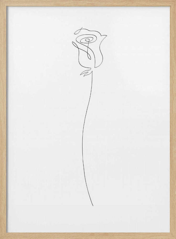Elegant Rose Line Art Art Print UK — Botanical Minimal Wall Art — Office — Wall It All Prints