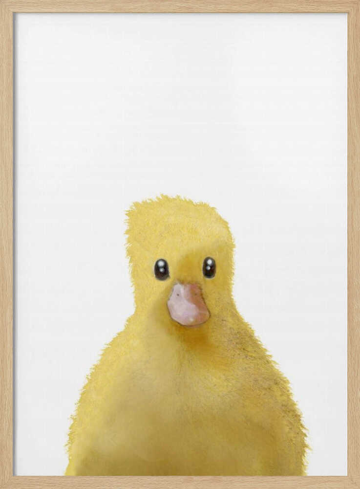 Cute Yellow Chick