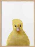 Cute Yellow Chick