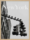 NYC Doves