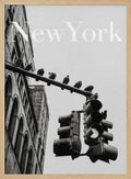 NYC Doves
