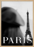 Classic Paris Tower View