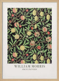 Fruit Pattern