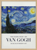The Starry Night