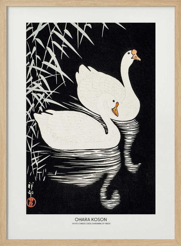 White Chinese Geese Swimming by Reeds Art Print UK — Japanese Dark Wall Art — Living Room — Wall It All Prints