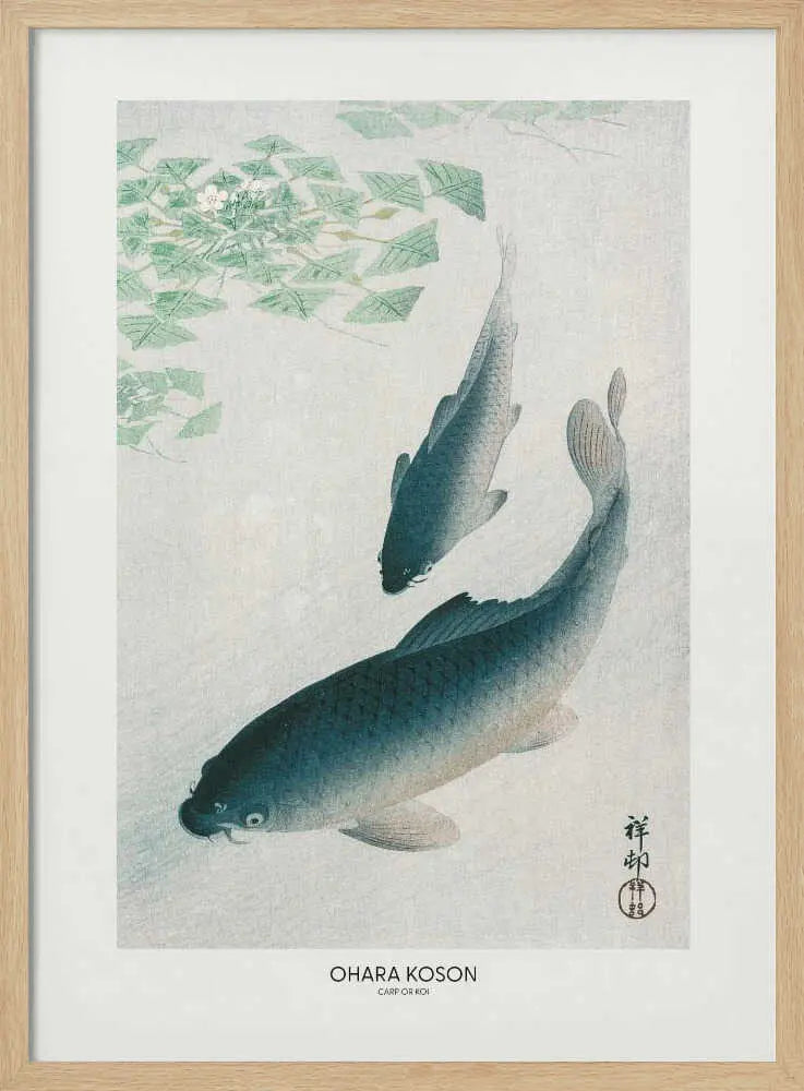 Carp Or Koi Ohara Koson