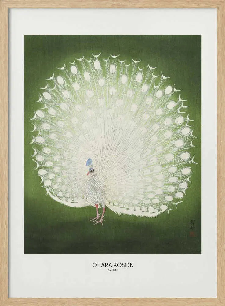 Peacock - Wide Ohara Koson