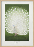 Peacock - Cropped