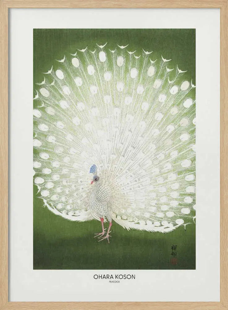 Peacock - Cropped Ohara Koson