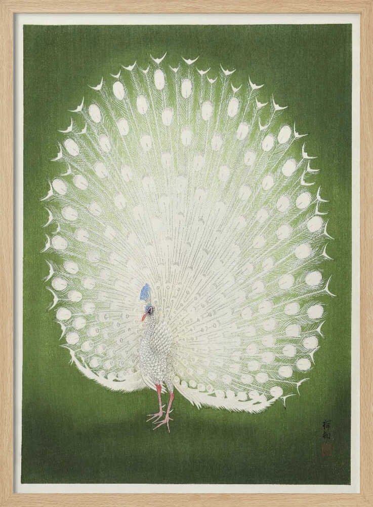 Peacock Ohara Koson