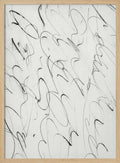 Script
