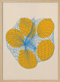 Five Lemons In a Net Bag