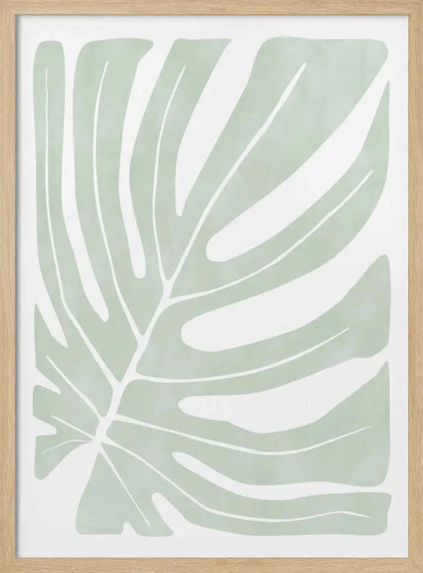 Sage Green Monstera Leaf Elena Ristova