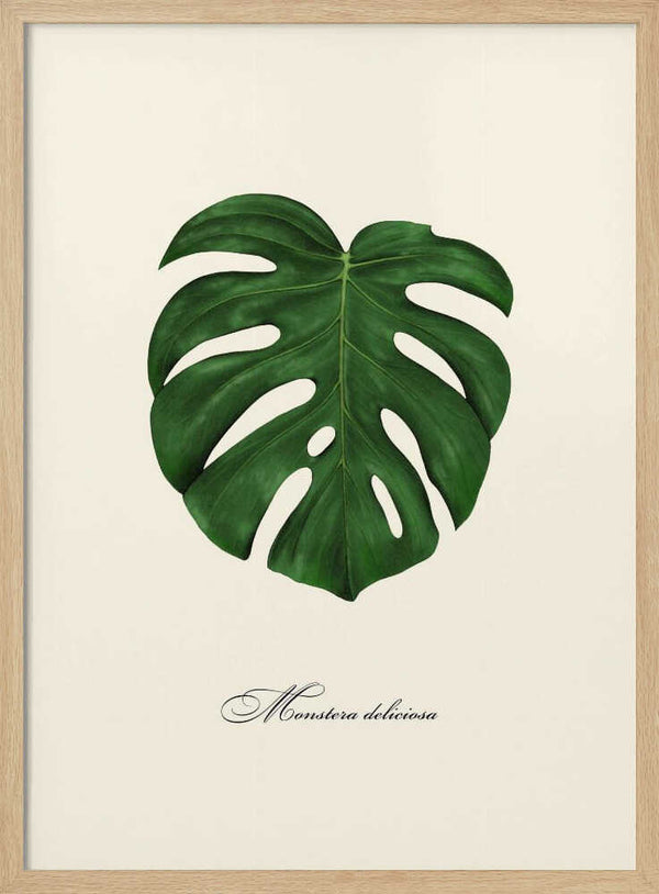 Monstera Deliciosa Leaf Art Print UK — Botanical Vibrant Wall Art — Living Room — Wall It All Prints