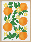 Fresh Orange Blossoms