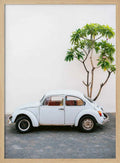 Pastel Volskwagen Beetle in the streets of Oaxaca Mexico