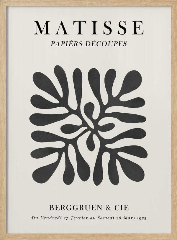 Organic Abstract Shapes