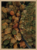 Winding Autumn Road