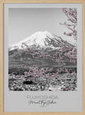 Mount Fuji Pink Sakura