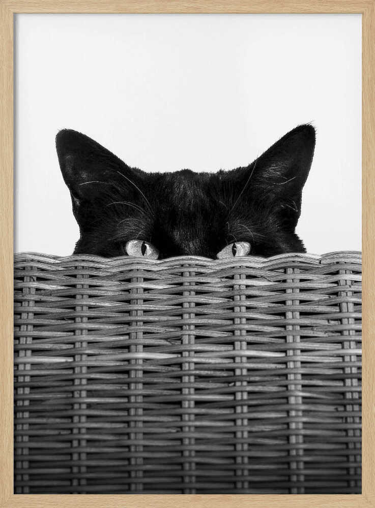 Peeking Cat Eyes Art Print UK — Abstract Dark Wall Art — Living Room — Wall It All Prints