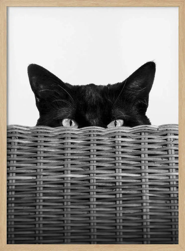Peeking Cat Eyes Art Print UK — Abstract Dark Wall Art — Living Room — Wall It All Prints
