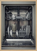 Man In The Dishwasher