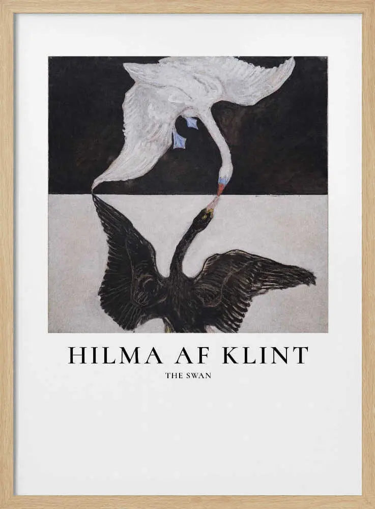 The Swan Hilma Af Klint