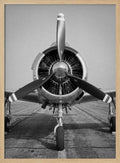 Polished Vintage Aircraft