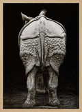 Textured Rhino Back