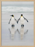 Loving Penguin Couple
