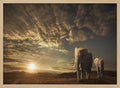 African Sunset Elephants