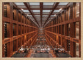 Grand Modern Library