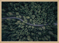 Winding Forest Road