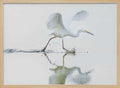 Egret Water Run
