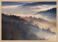 Misty Mountain Serenity