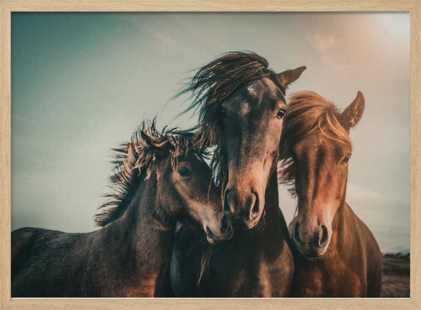 Wild Horse Family Art Print UK — Animal Calm Wall Art — Living Room — Wall It All Prints