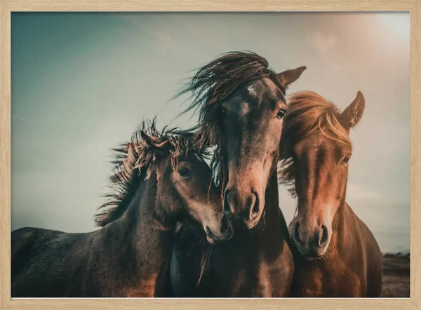 Wild Horse Family Art Print UK — Animal Calm Wall Art — Living Room — Wall It All Prints