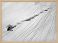 Powder Ski Action