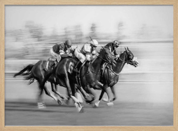 Galloping Racehorses