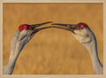 Gentle Crane Kiss
