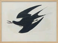 Sooty Tern From Birds of America (1827)