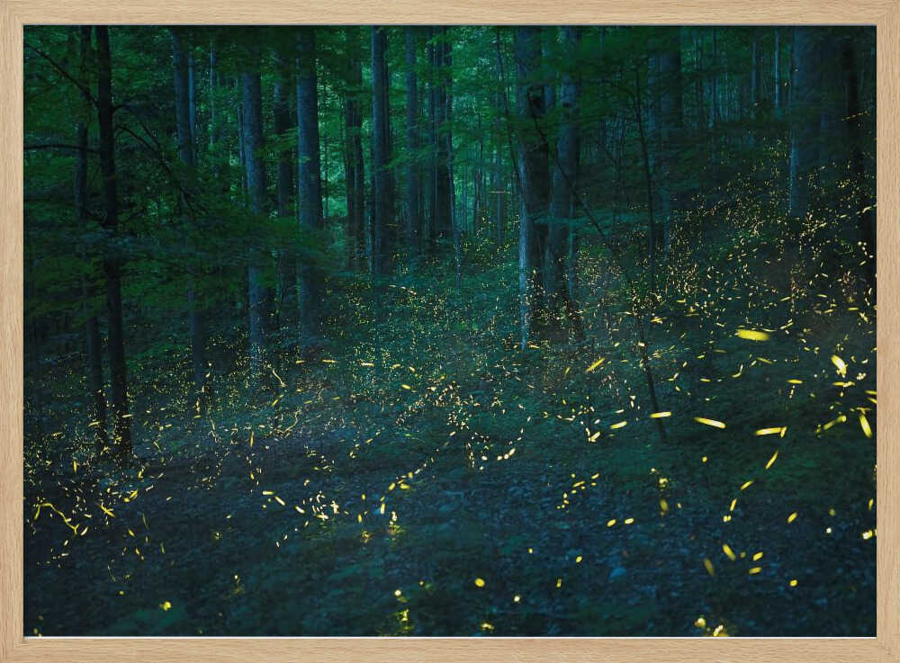 Forest Firefly Glow Art Print UK — Dark Moody Calm Wall Art — Bathroom — Wall It All Prints