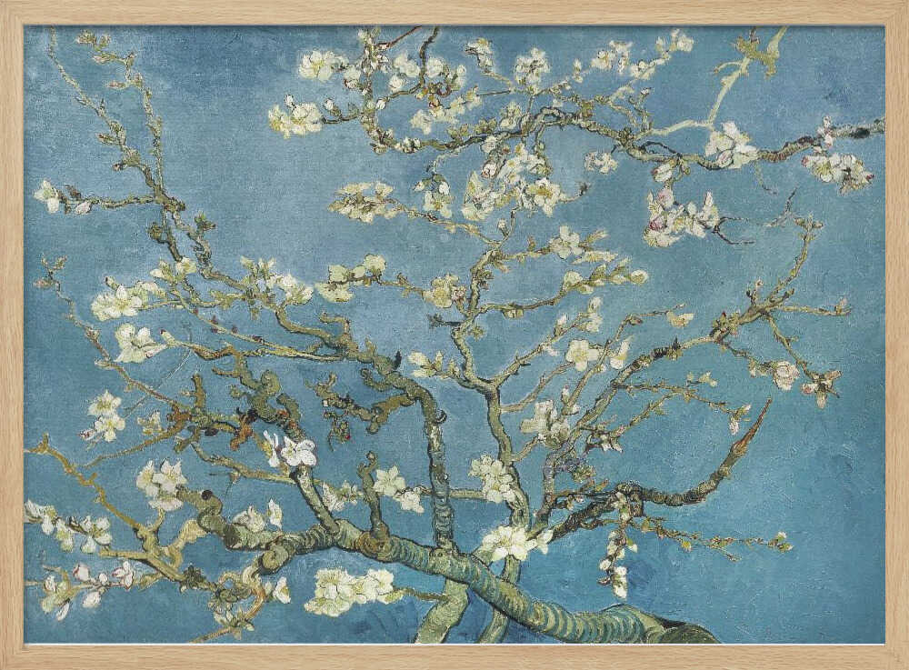 Vincent Van Gogh's Almond Blossom (1890) Vincent Van Gogh