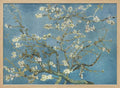 Vincent Van Gogh's Almond Blossom (1890)